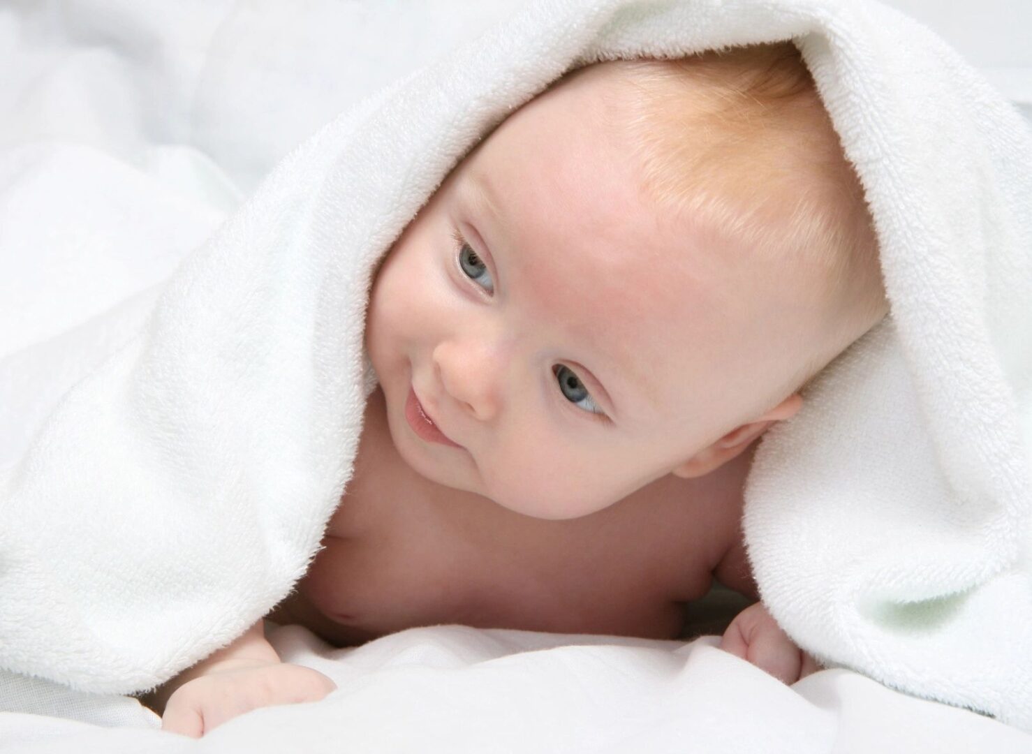 Infant Mental Health & Parent-Infant Psychotherapy